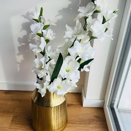 Apartment Romantica *